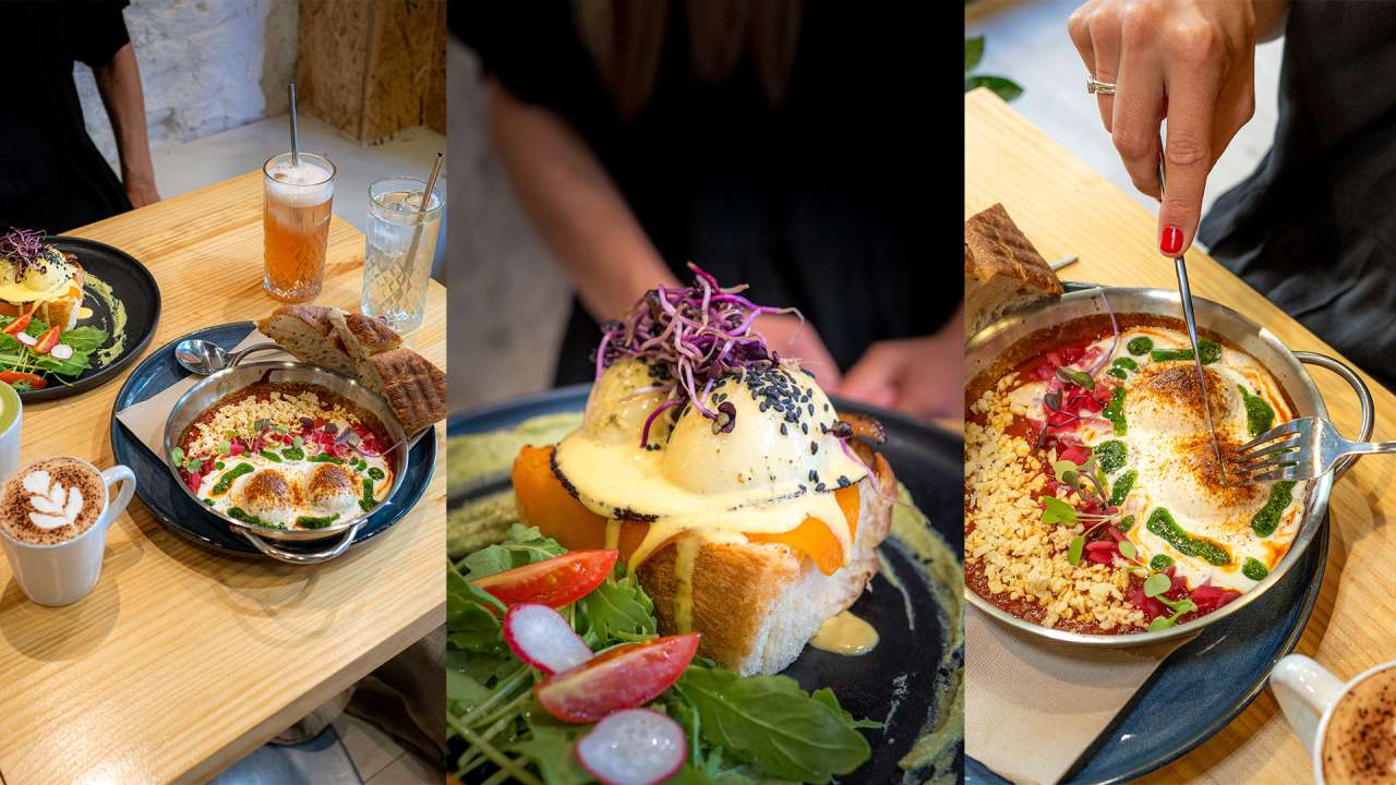 The Ultimate Guide to Vegan Restaurants in 2026: Top Spots, Trends, Tips, and Where to Eat Worldwide
